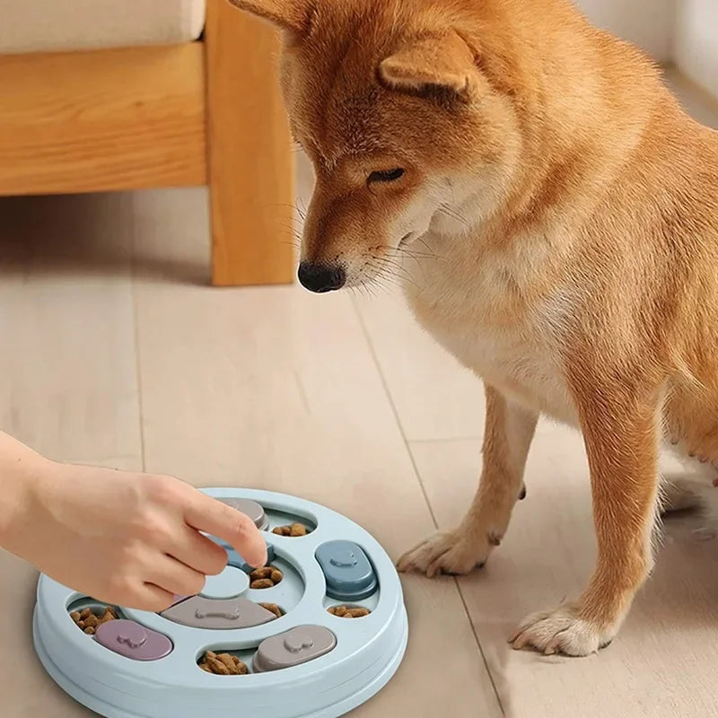 AUSIDAPET Dog Food Hiding Bowl, Slow Food Training, Dog Educational Toy To Relieve Boredom, Interactive Educational Feeding Toy