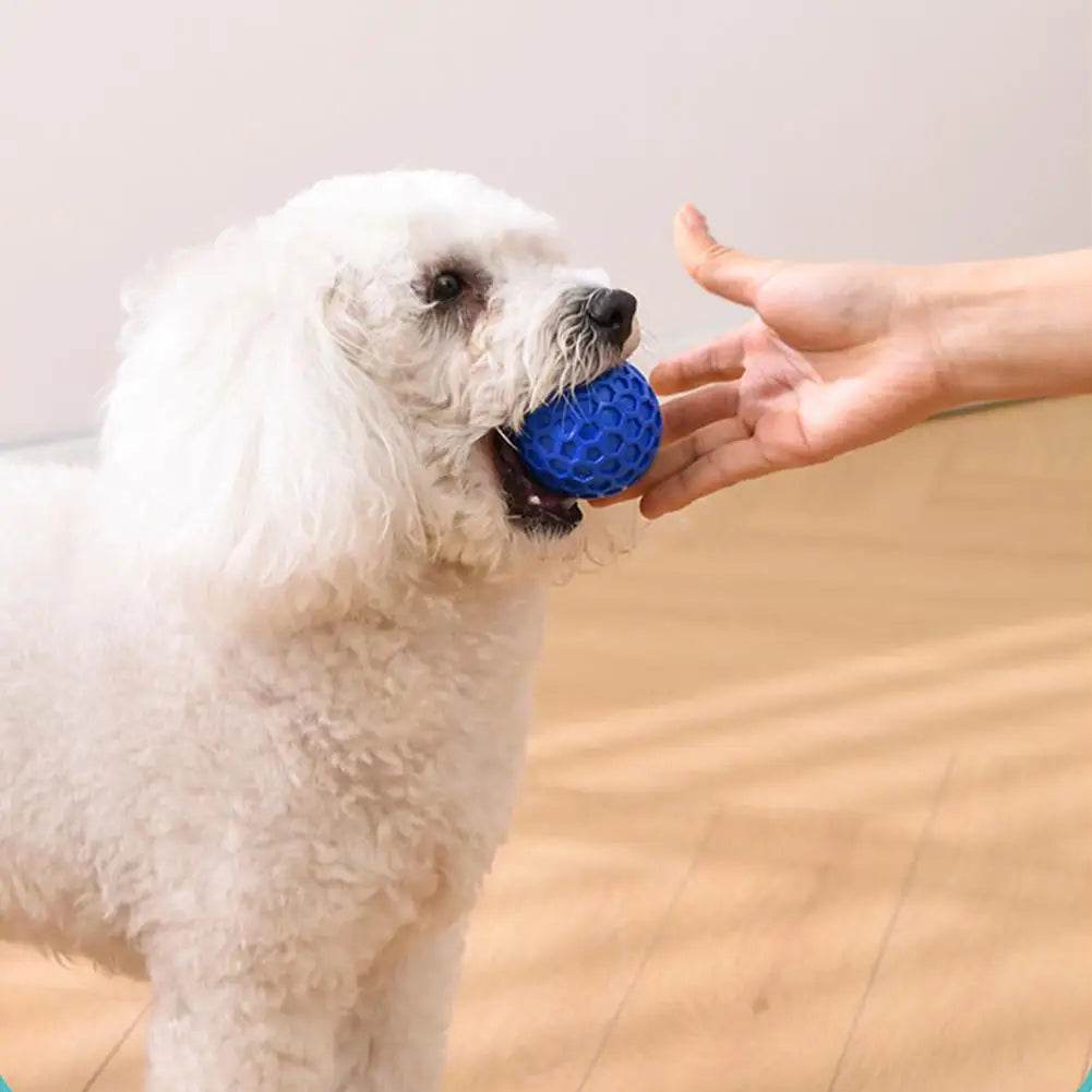 AUSIDAPET Dog Toys Bite Resistant Interactive Throwing Sound Honeycomb Balls Natural Rubber Teething Clean Teeth Toys Pet Products