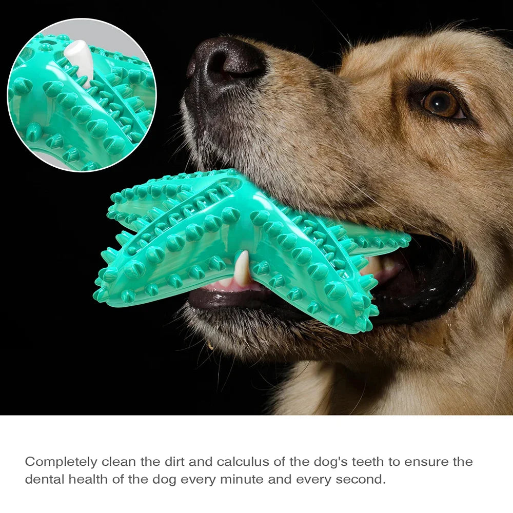 AUSIDAPET Funny Starfish Squeaky Chew Toys for Large Small Dog Indestructible Rubber Teeth Cleaning Interactive Training Toy Pets Supplies
