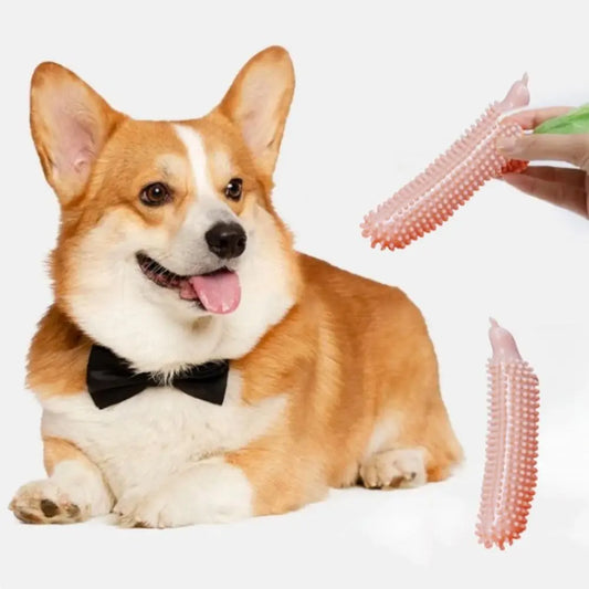 AUSIDAPET Portable Cucumber Shape Dog Teeth Grinding Stick Bite Resistant Wear Resistant Dog Chew Toy TPE Pet Molar Stick Self Happy