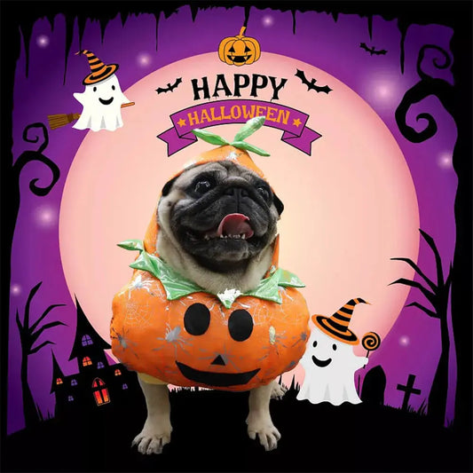 AUSIDAPET Pumpkin Dog Costume – Cute & Comfy Halloween Outfit for Small to Medium Dogs