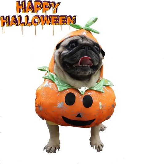 AUSIDAPET Pumpkin Dog Costume – Cute & Comfy Halloween Outfit for Small to Medium Dogs