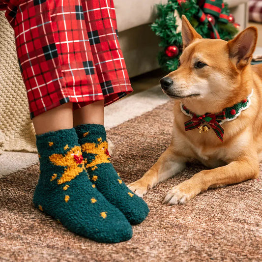 AUSIDAPET Santa Claus Knitted Scarf & Socks Set – Festive Matching Outfit for Pets & Owners