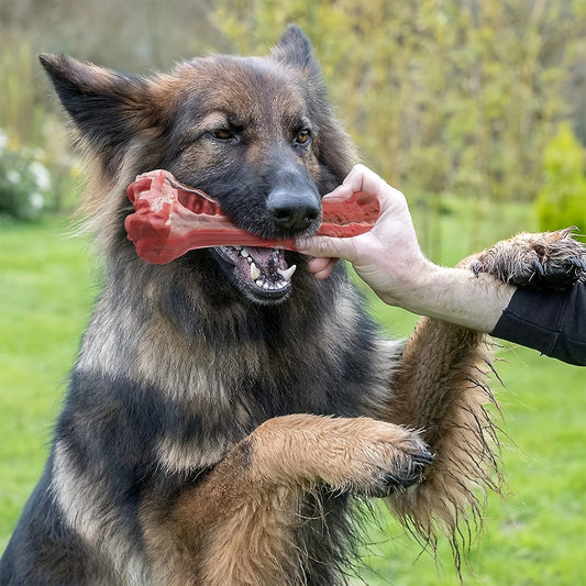 AUSIDAPET Silicone dog bite toy, natural rubber non-toxic, suitable for strong biting dogs, interactive cleaning of teeth bones