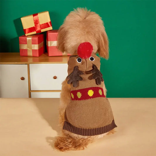 AUSIDAPET Christmas Sweater & Socks Set – Festive Matching Outfit for Pets & Owners