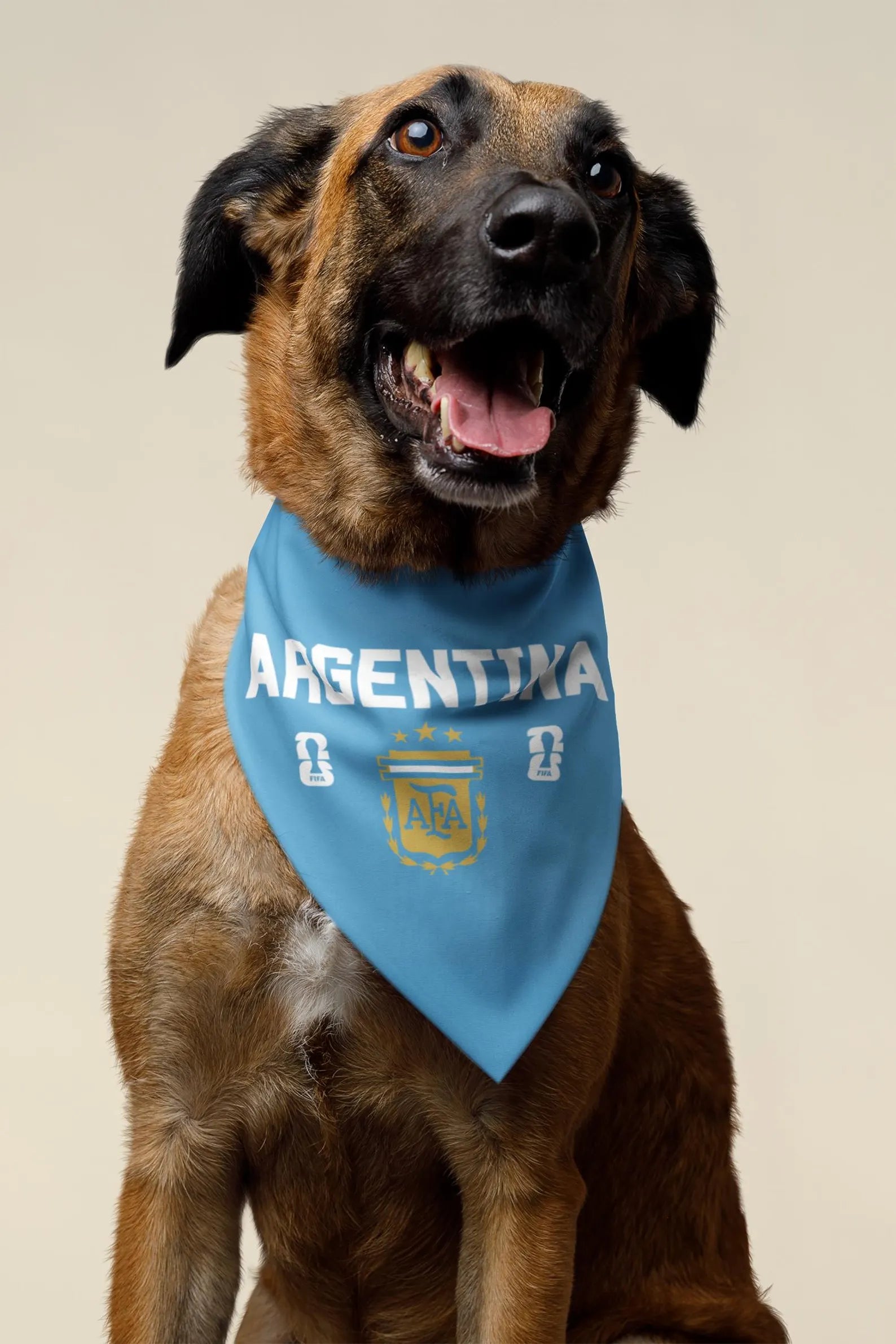 Happy large dog wearing blue Argentina AFA soccer bandana collar – World Cup 2026 pet accessory studio portrait