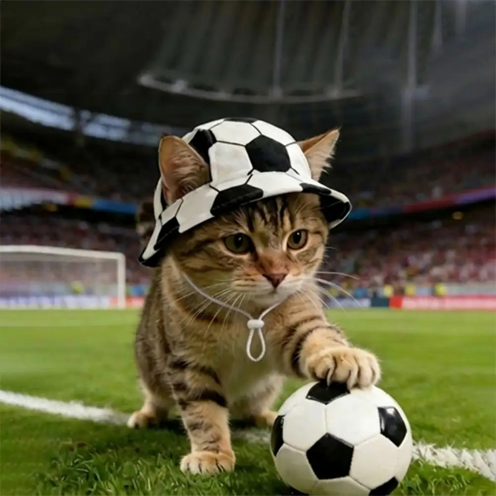 Cute cat wearing a black and white football pet hat playing with a soccer ball on the field