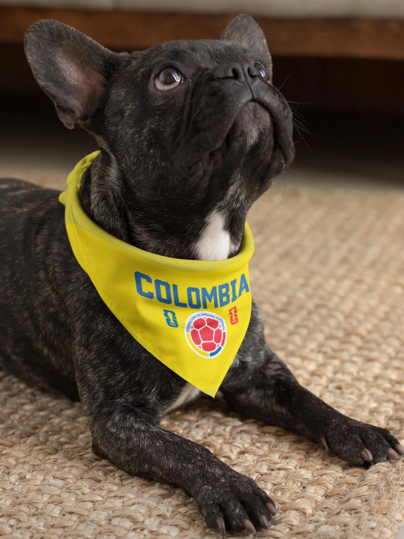 French Bulldog wearing yellow Colombia soccer dog bandana collar lying on rug indoors – World Cup 2026 pet accessory