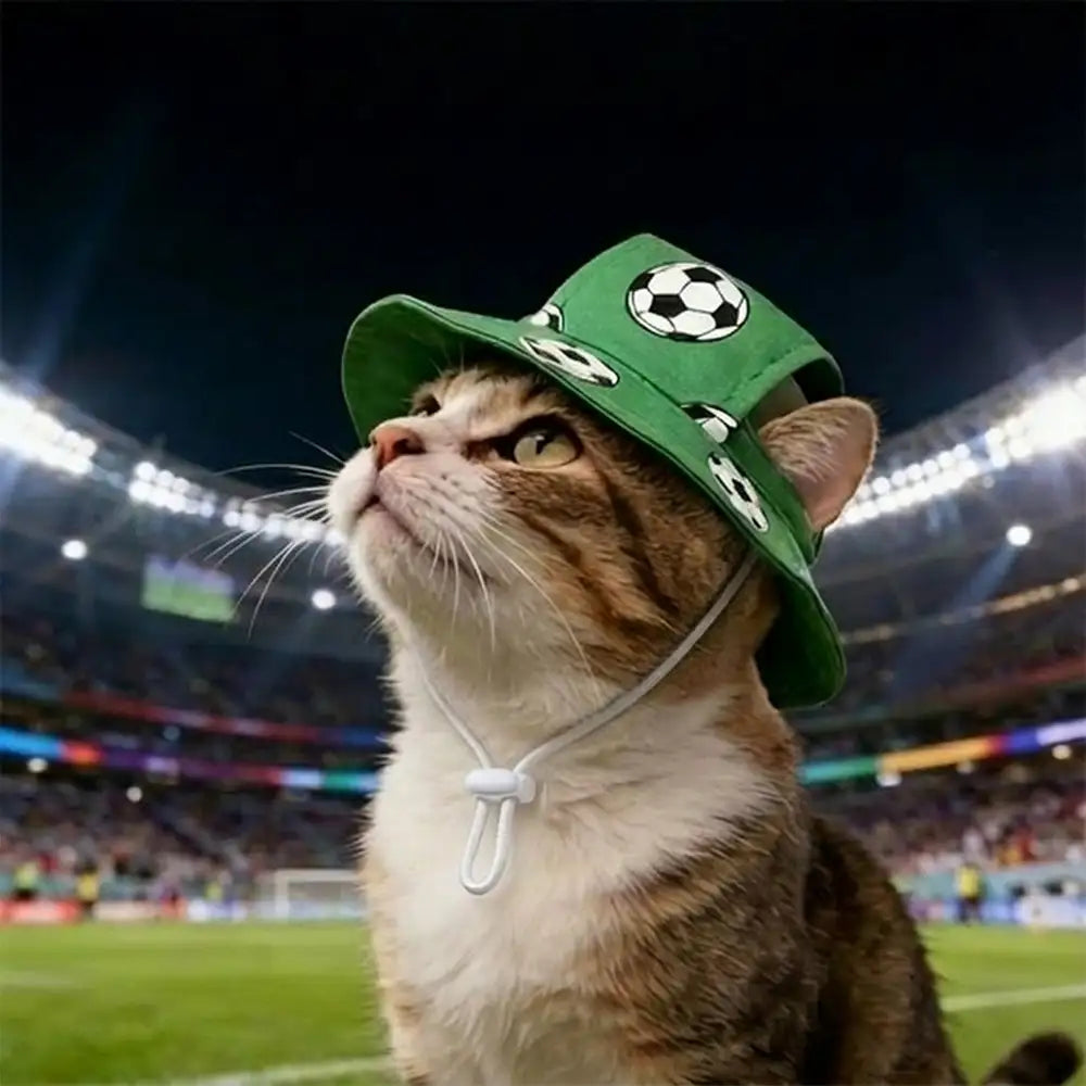Cat wearing a green football pattern pet hat in a stadium, perfect for game day pet outfit and photos