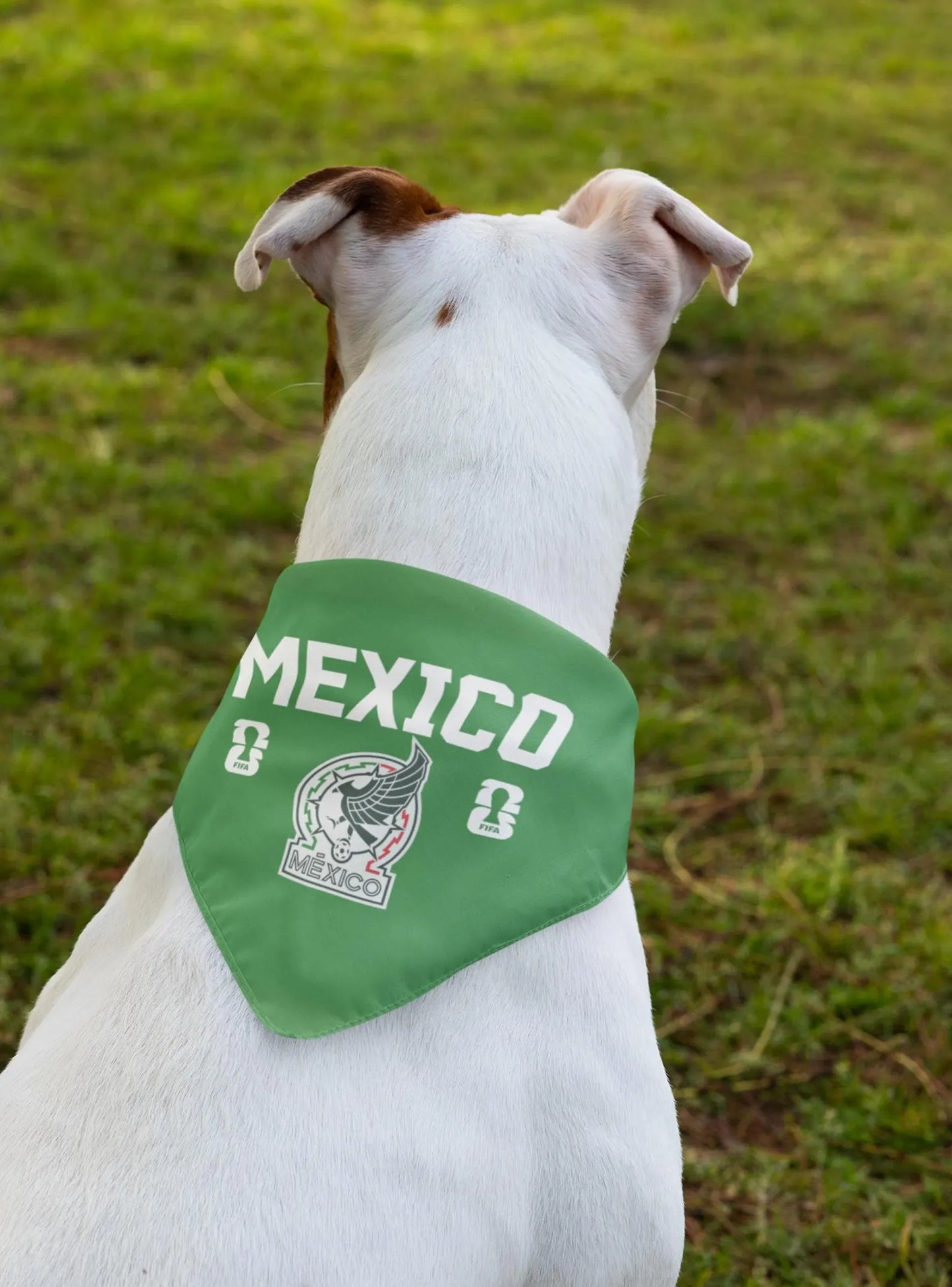 White dog wearing green Mexico World Cup dog bandana collar sitting on grass – back view
