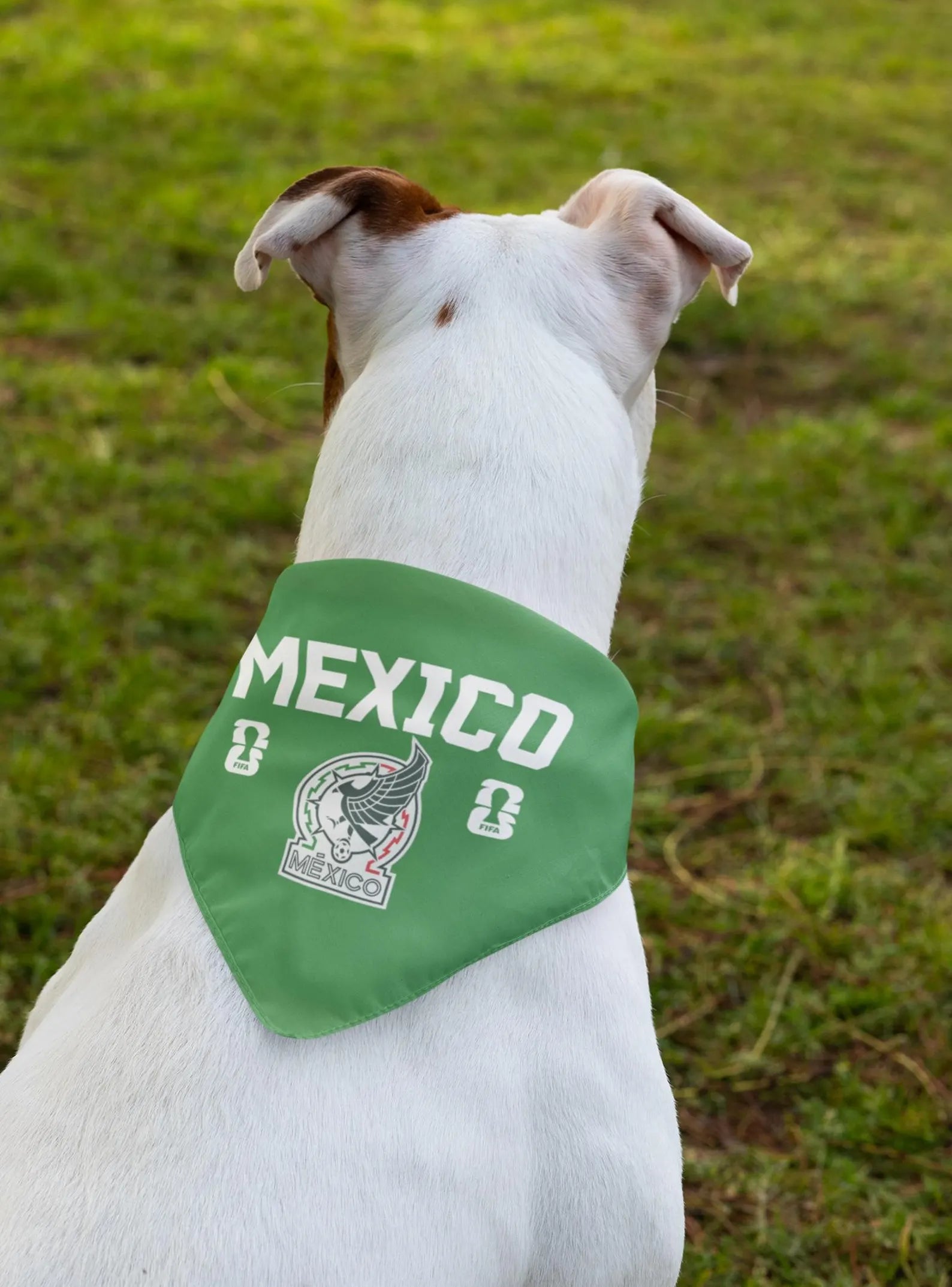 White dog wearing green Mexico World Cup dog bandana collar sitting on grass – back view