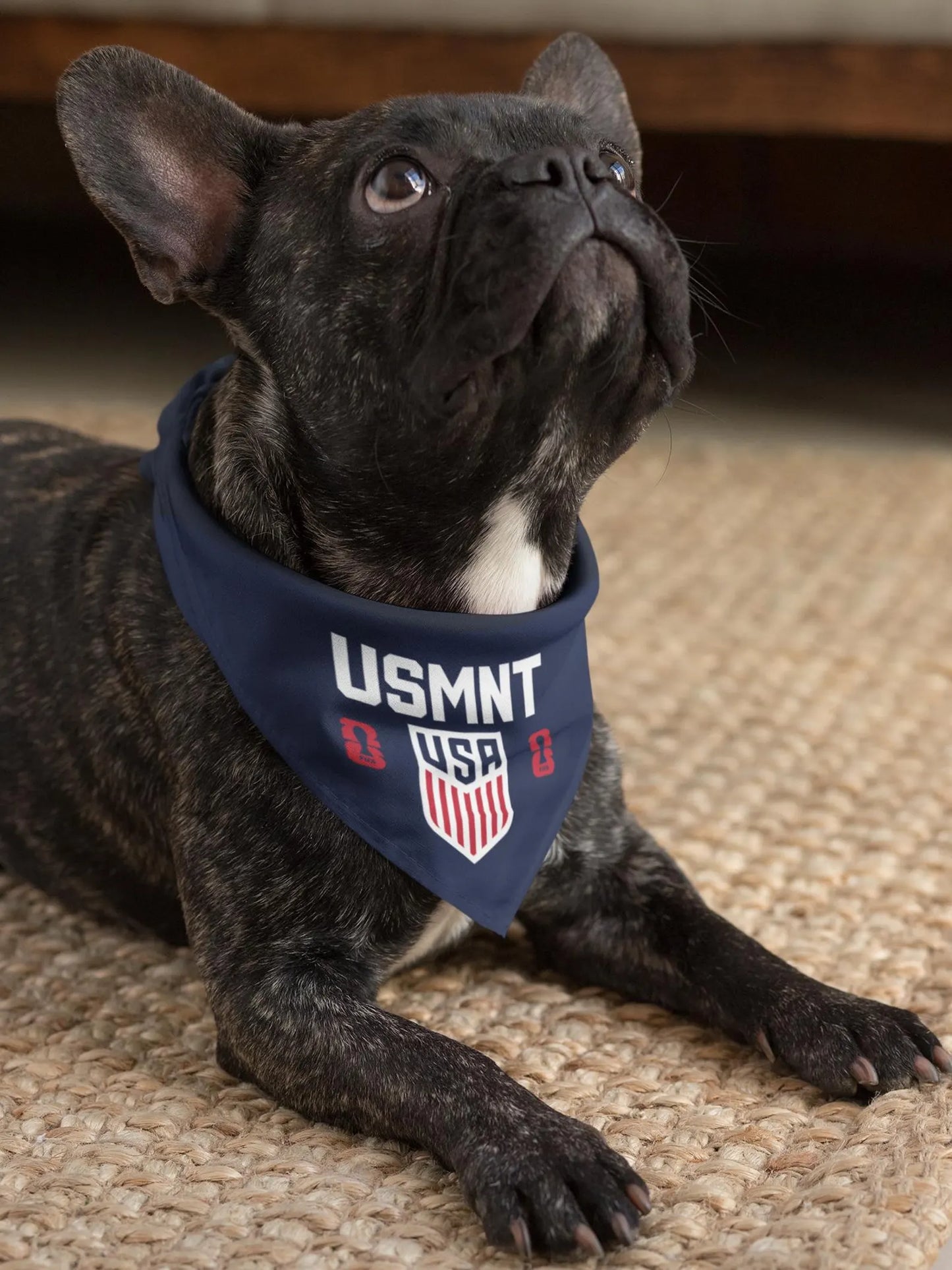French Bulldog wearing navy blue USMNT USA soccer dog bandana collar lying on rug – World Cup 2026 dog accessory